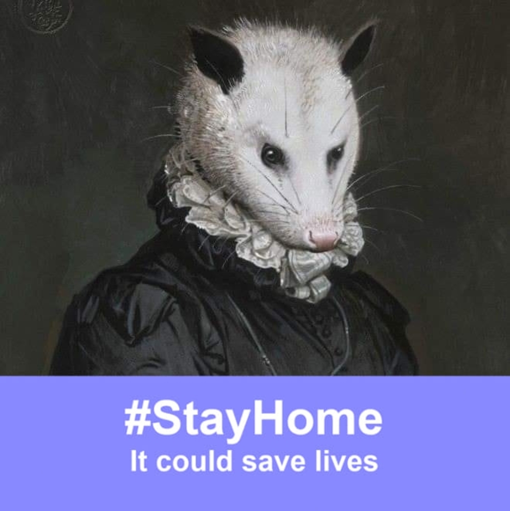 Meet your Posher, Stormi